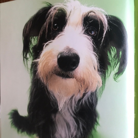 Book- Mutt Mugs (and posh pups too) by Karen Prince - Picture 10 of 12